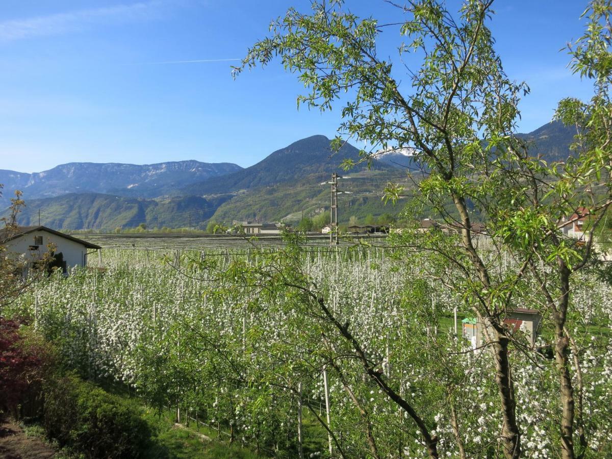 Feldererhof Apartment Postal / Burgstall Bagian luar foto