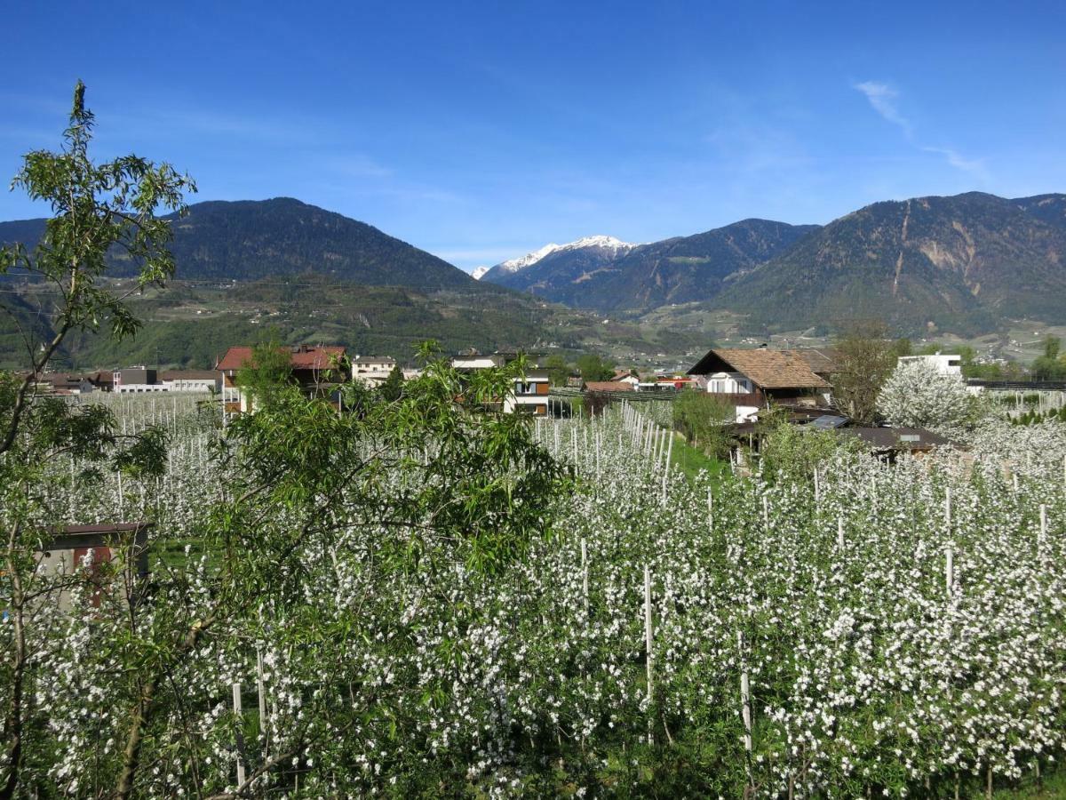 Feldererhof Apartment Postal / Burgstall Bagian luar foto